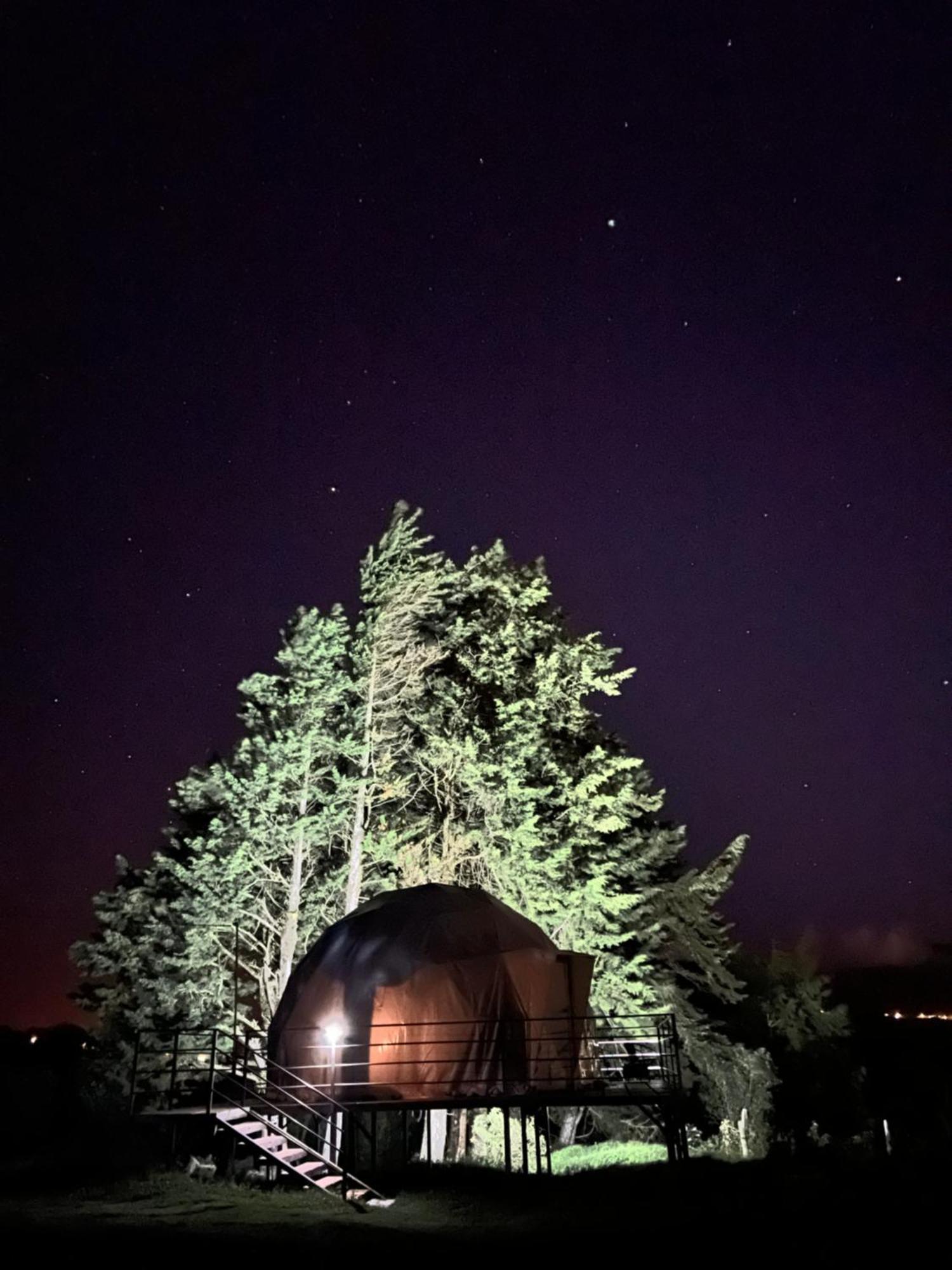 Green Noise Glamping Fraijanes Екстер'єр фото